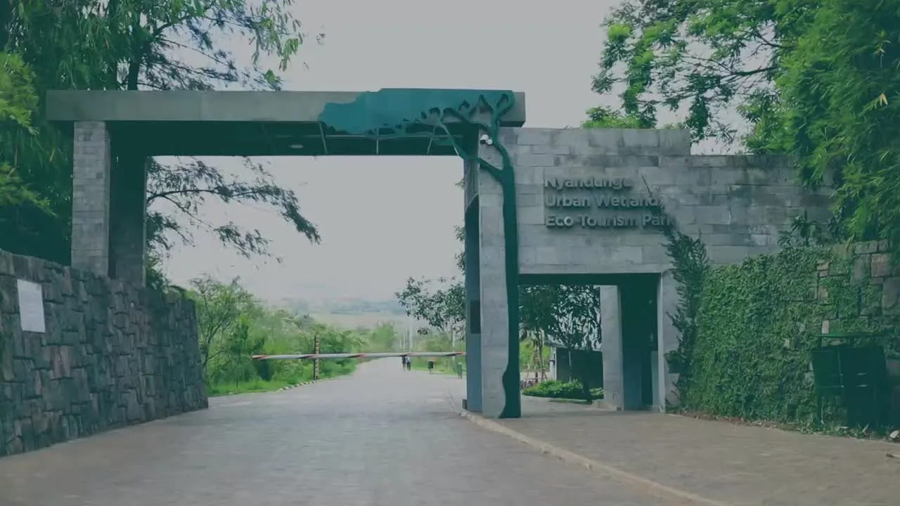 Nyandungu Eco-Park Experience in Kigali