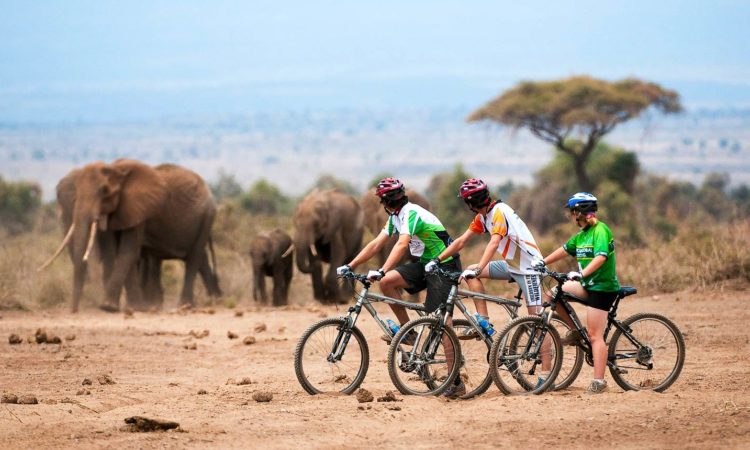 Rwanda Cycling Experience in Rwanda