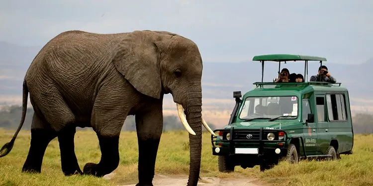 Rwanda safari travel package in Akagera National Park