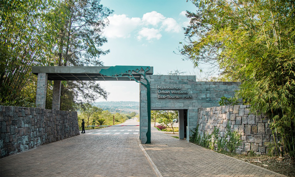 Nyandungu 1