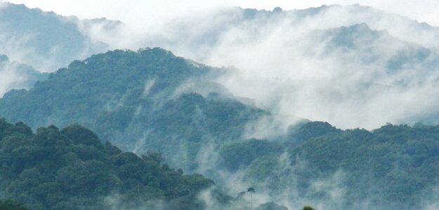 cropped-getting-to-bwindi.jpg Agent Subscription Plan(Plan valid for four year)