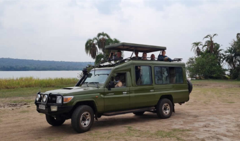 Car Rental Services safari-car