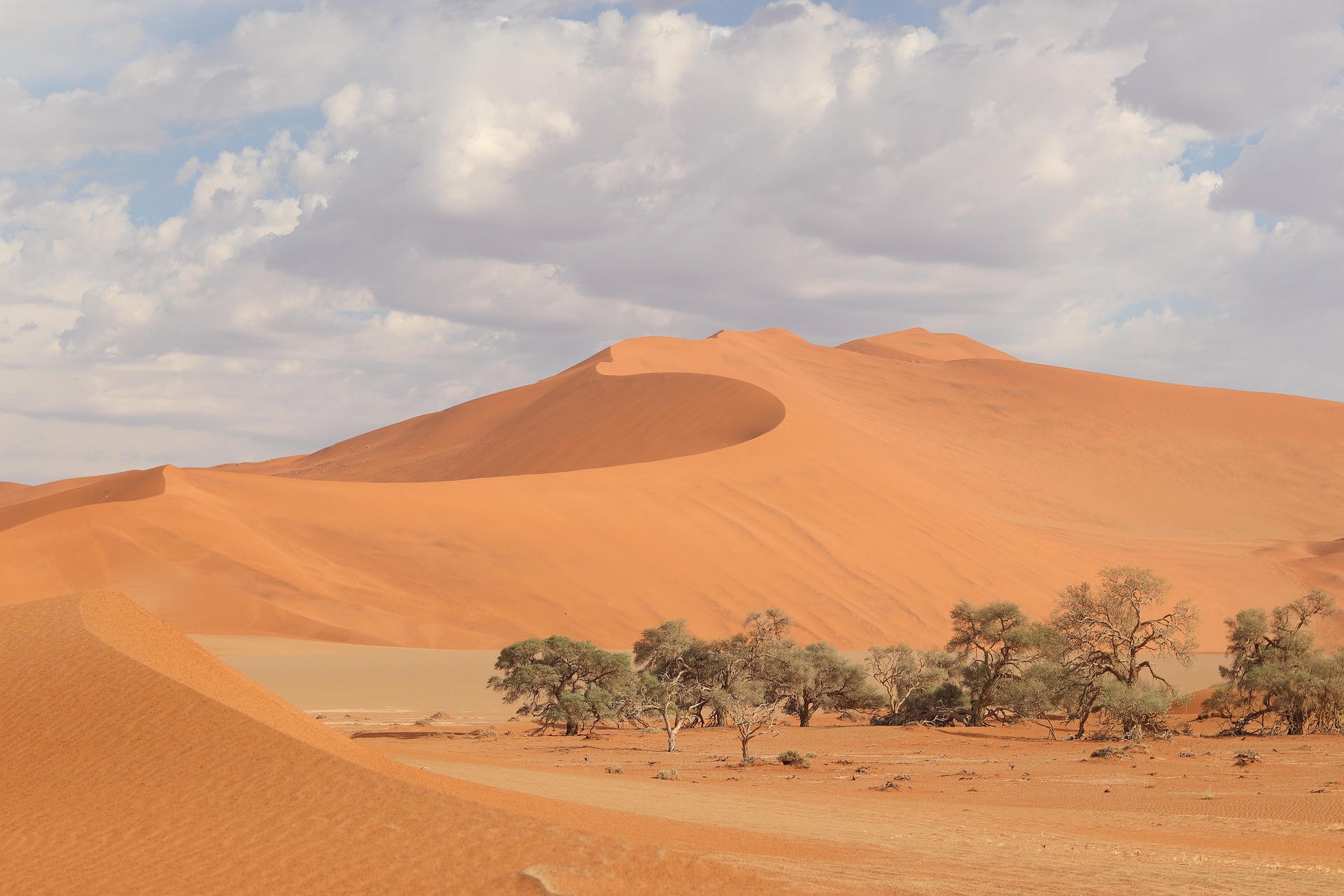 7-Day-Self-Drive-Tour-Explore-Namibias-Desert-Coastal-Highlights 4-Day Discover Namibia Desert & Dunes Tour