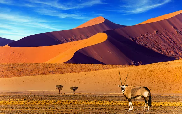 74525 4-Day Discover Namibia Desert & Dunes Tour - Image 4