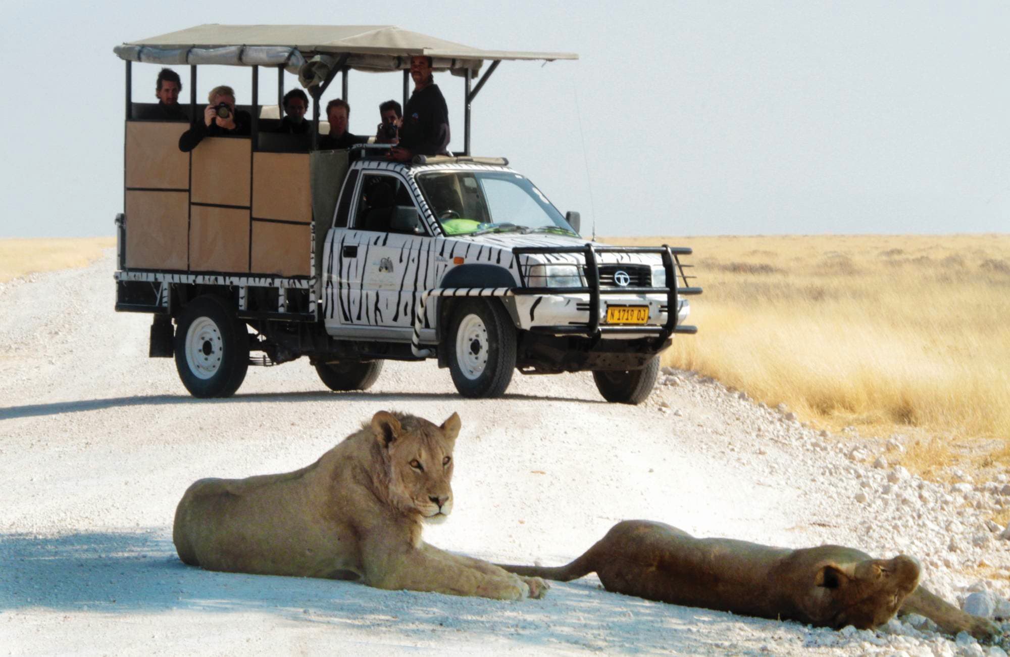 Etosha Safari Camp (7) Visit big 4 in Our country namibia - Image 3