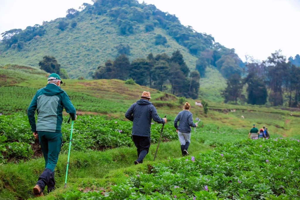 Hiking Mount Kigali In Rwanda 2 1024x683